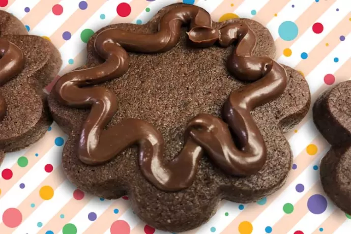 Chocolate Roll-out Cookies